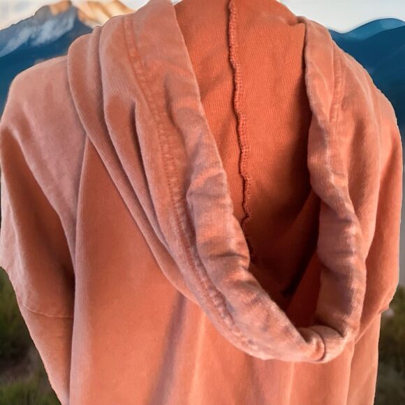 Aerie Women’s Hoodie Sweatshirt In Sunwashed Desert, Size: M - Picture 8 of 10